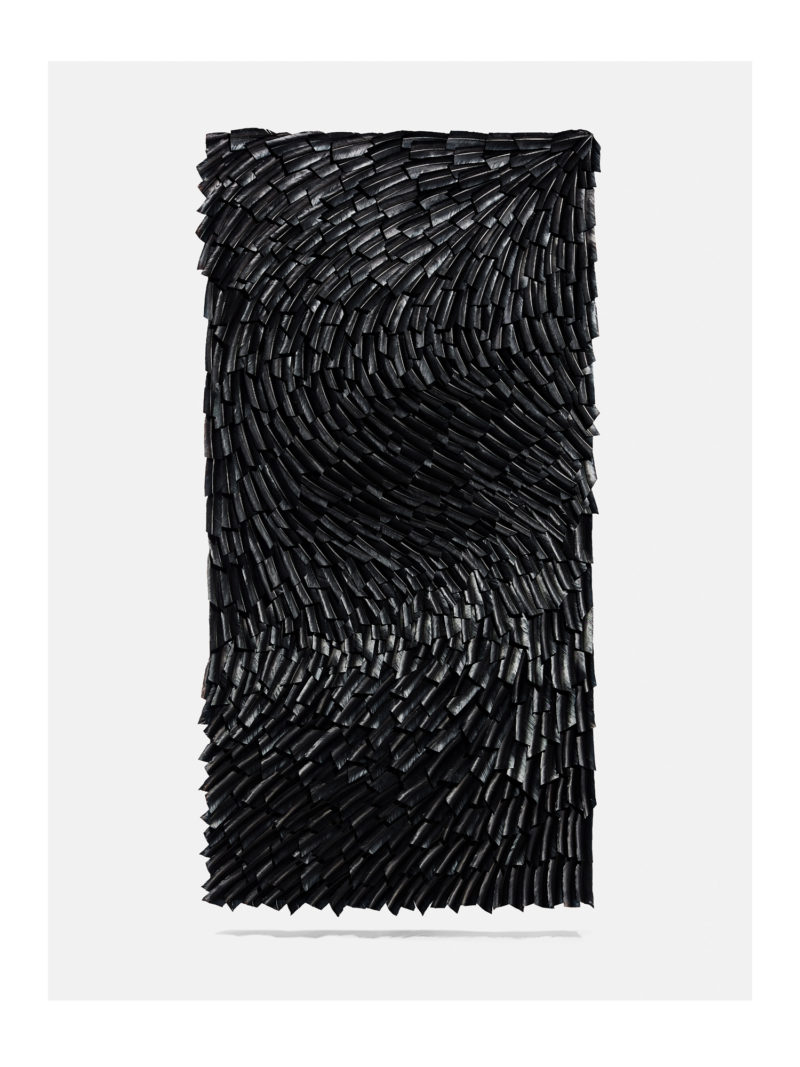JULIEN_VERMEULEN_03_249 Caracteresparis_Blog_Julienvermeulen_plume_blackwave