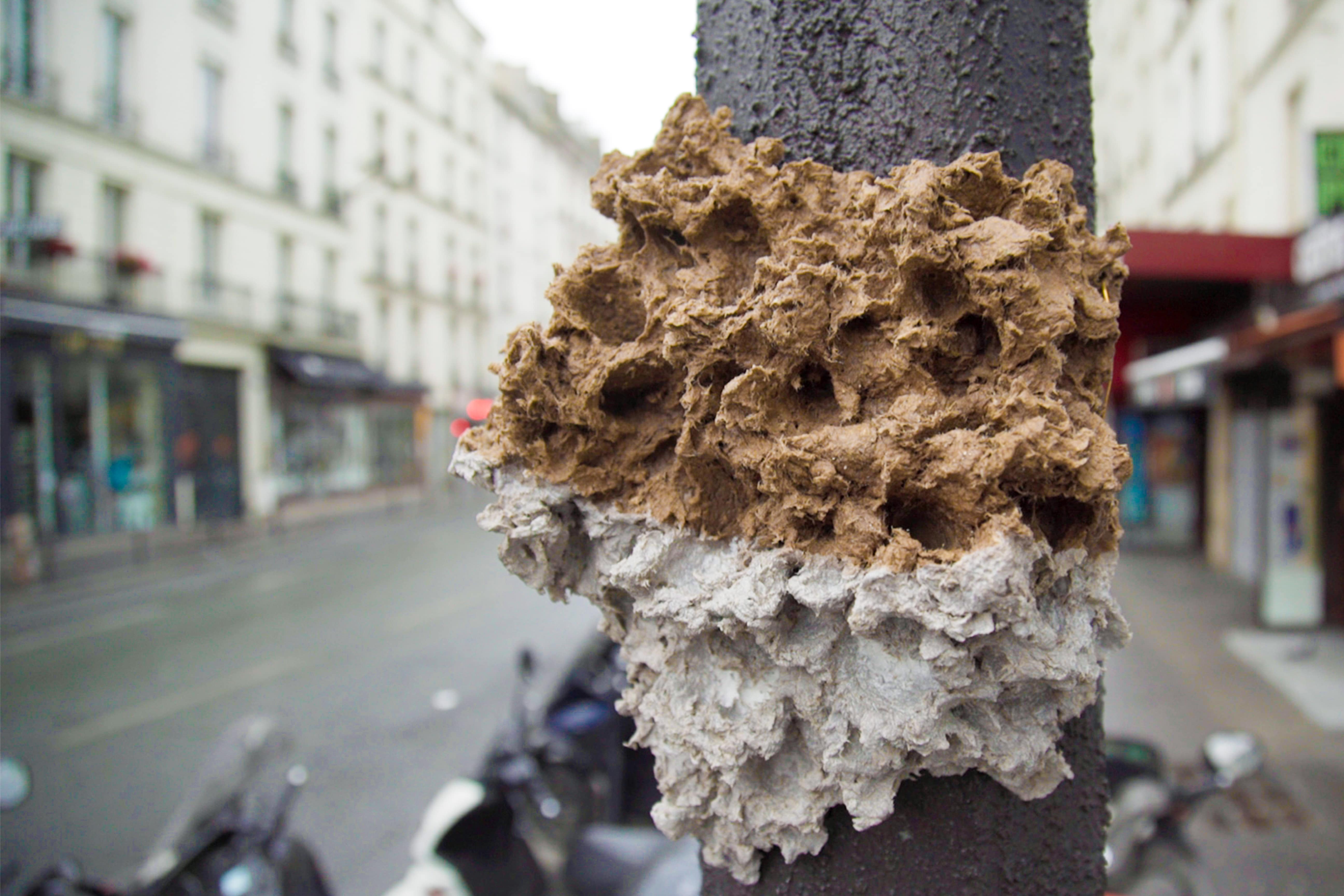 Caracteresparis_artisanatdart_catiaesteves_papiermaché Caracteresparis_artisanatdart_catiaesteves_papiermaché